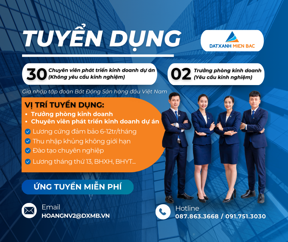 lĩnh vực hoạt động